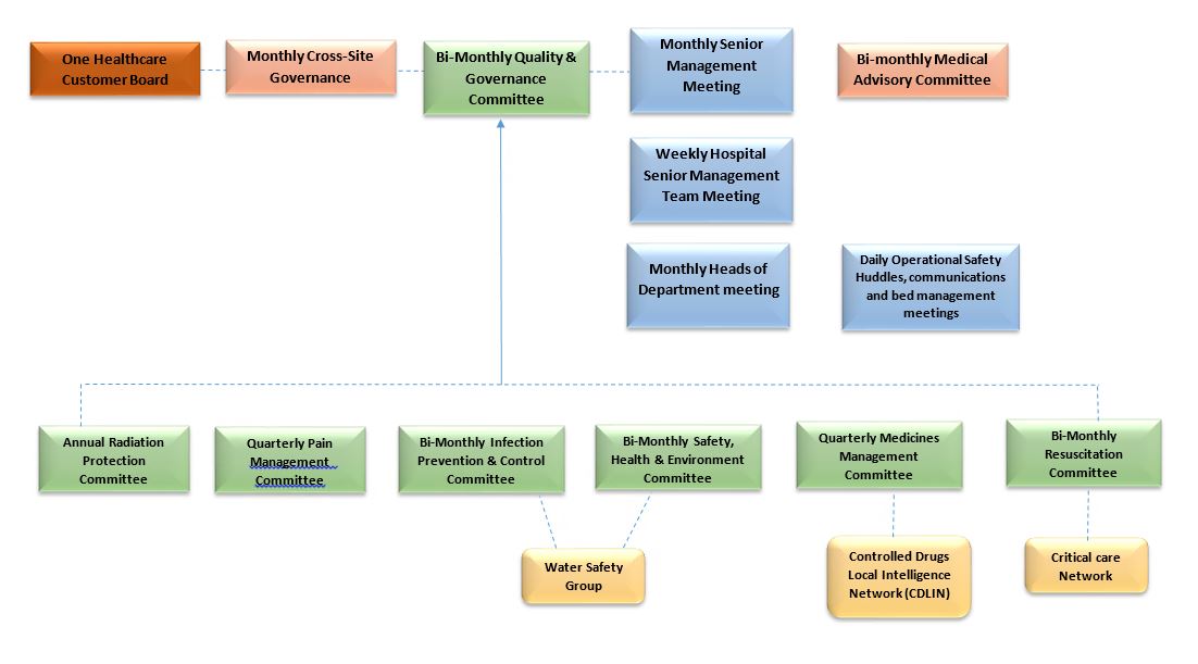 One Hatfield Hospital Committee and Sub-Committee Structure