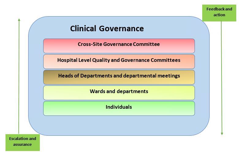 One Healthcare Clinical Governance