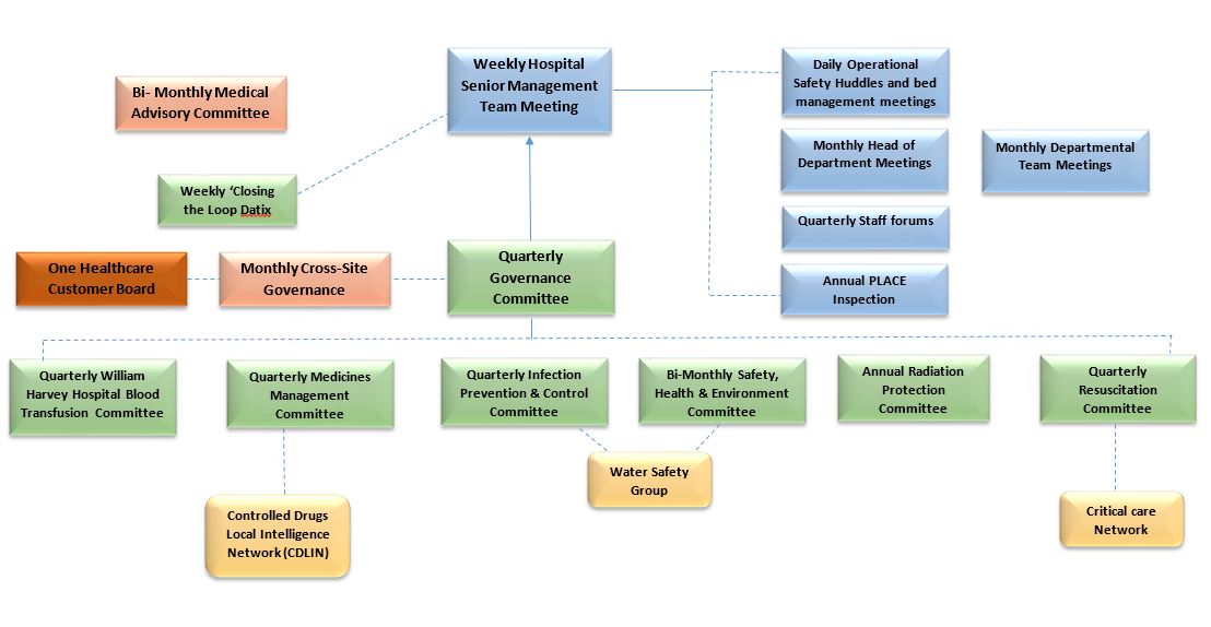 One Ashford Hospital Committee and Sub-Committee Structure