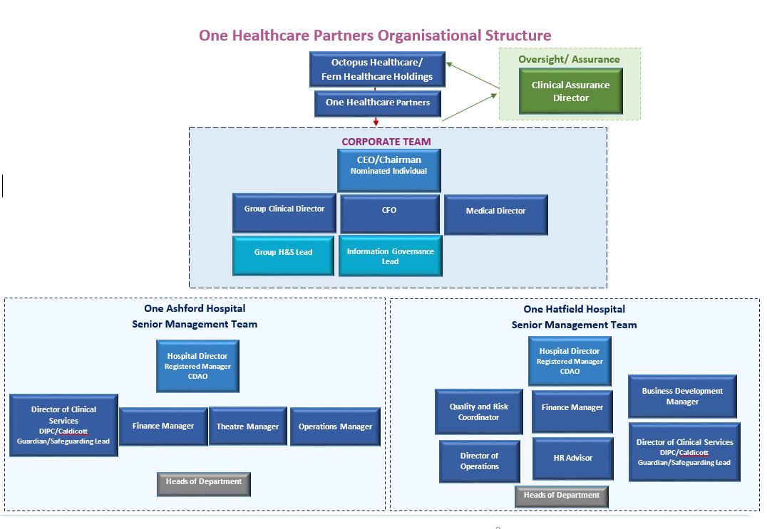 One Healthcare Organisational Structure